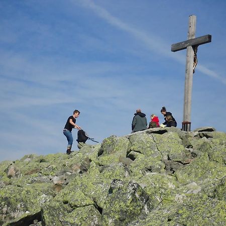 Bayernstern - Ihr Wander- & Wohlfuhlhotel Spiegelau Eksteriør bilde